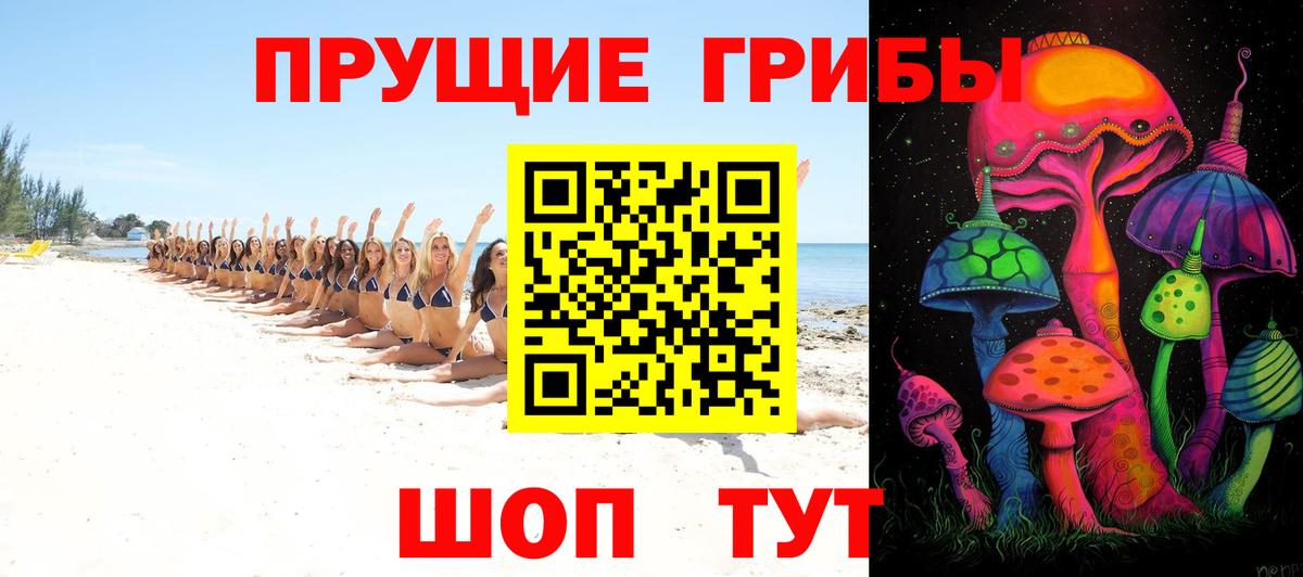 Псилоцибиновые грибы GOLDEN TEACHER  Галлюциногенные грибы Psilocybe  Тулун  Вход с VPN 