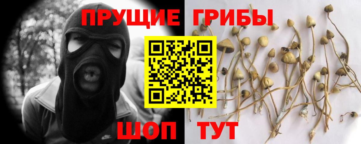Галлюциногенные грибы Psilocybine cubensis Тулун
