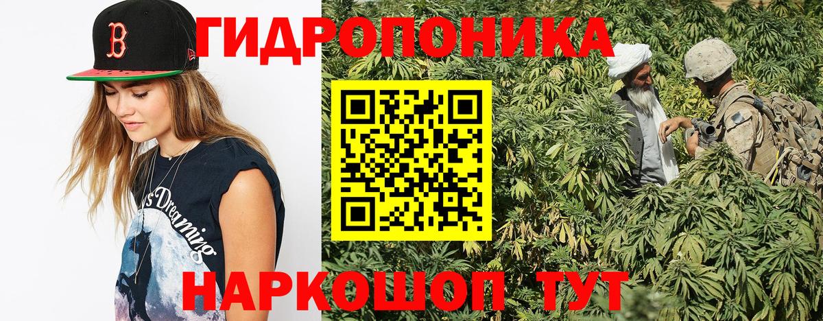 Канабис гибрид Тулун